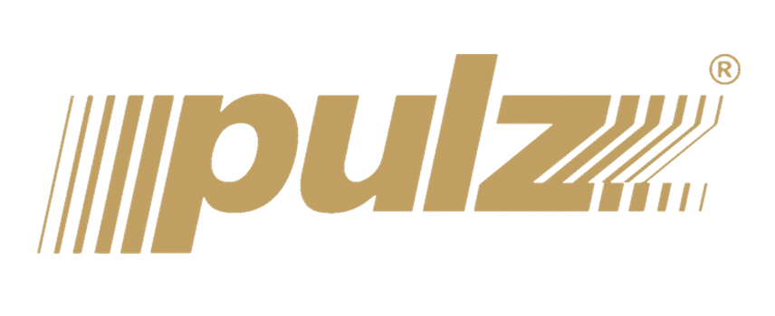 Pulz Logo